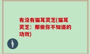 有没有猫耳灵芝(猫耳灵芝：那些你不知道的功效)