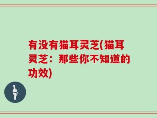 有没有猫耳灵芝(猫耳灵芝：那些你不知道的功效)