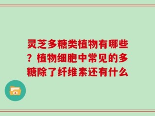 灵芝多糖类植物有哪些？植物细胞中常见的多糖除了纤维素还有什么