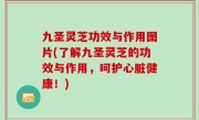 九圣灵芝功效与作用图片(了解九圣灵芝的功效与作用，呵护心脏健康！)