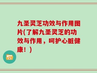 九圣灵芝功效与作用图片(了解九圣灵芝的功效与作用，呵护心脏健康！)