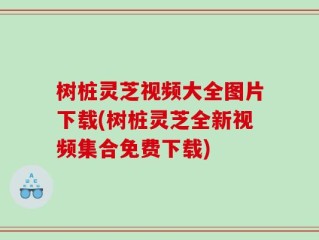 树桩灵芝视频大全图片下载(树桩灵芝全新视频集合免费下载)