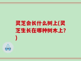 灵芝会长什么树上(灵芝生长在哪种树木上？)