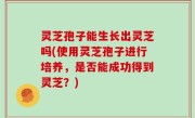 灵芝孢子能生长出灵芝吗(使用灵芝孢子进行培养，是否能成功得到灵芝？)