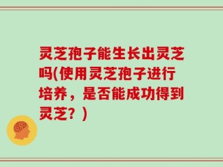 灵芝孢子能生长出灵芝吗(使用灵芝孢子进行培养，是否能成功得到灵芝？)