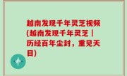 越南发现千年灵芝视频(越南发现千年灵芝｜历经百年尘封，重见天日)