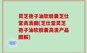 灵芝孢子油软胶囊芝仕堂高清图(芝仕堂灵芝孢子油软胶囊高清产品图解)