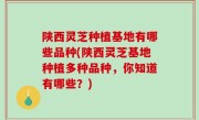 陕西灵芝种植基地有哪些品种(陕西灵芝基地种植多种品种，你知道有哪些？)