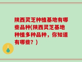 陕西灵芝种植基地有哪些品种(陕西灵芝基地种植多种品种，你知道有哪些？)
