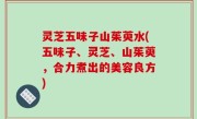 灵芝五味子山茱萸水(五味子、灵芝、山茱萸，合力煮出的美容良方)