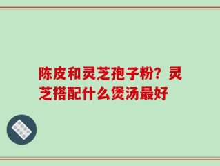 陈皮和灵芝孢子粉？灵芝搭配什么煲汤最好