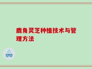 鹿角灵芝种植技术与管理方法