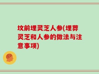 坟前埋灵芝人参(埋葬灵芝和人参的做法与注意事项)