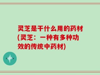 灵芝是干什么用的药材(灵芝：一种有多种功效的传统中药材)