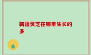新疆灵芝在哪里生长的多