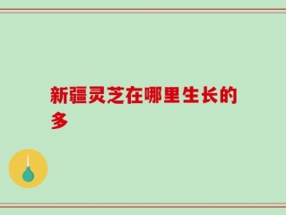 新疆灵芝在哪里生长的多