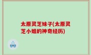 太原灵芝妹子(太原灵芝小姐的神奇经历)