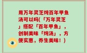 用万年灵芝炖百年甲鱼汤可以吗(「万年灵芝」搭配「百年甲鱼」，创制美味「炖汤」，方便实惠，养生美味！)