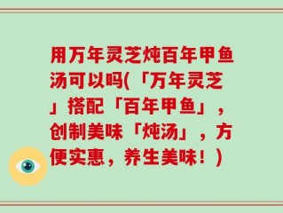 用万年灵芝炖百年甲鱼汤可以吗(「万年灵芝」搭配「百年甲鱼」，创制美味「炖汤」，方便实惠，养生美味！)