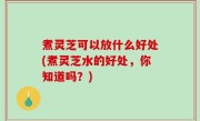 煮灵芝可以放什么好处(煮灵芝水的好处，你知道吗？)