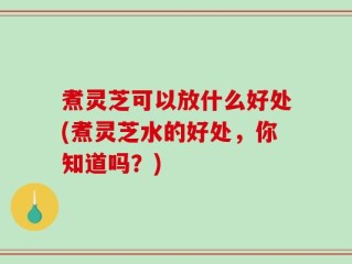 煮灵芝可以放什么好处(煮灵芝水的好处，你知道吗？)