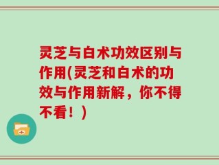 灵芝与白术功效区别与作用(灵芝和白术的功效与作用新解，你不得不看！)