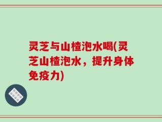 灵芝与山楂泡水喝(灵芝山楂泡水，提升身体免疫力)
