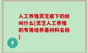 人工养殖灵芝底下的纸叫什么(灵芝人工养殖的专用培养基材料名称)