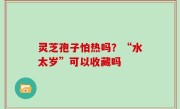 灵芝孢子怕热吗？“水太岁”可以收藏吗