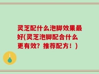 灵芝配什么泡脚效果最好(灵芝泡脚配合什么更有效？推荐配方！)