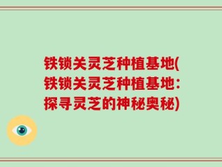 铁锁关灵芝种植基地(铁锁关灵芝种植基地：探寻灵芝的神秘奥秘)