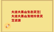 大连大黑山生态灵芝(大连大黑山发现珍贵灵芝资源