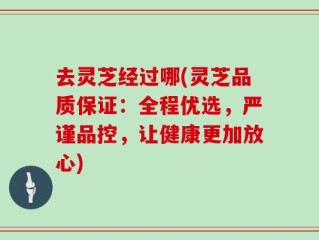 去灵芝经过哪(灵芝品质保证：全程优选，严谨品控，让健康更加放心)