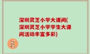 深圳灵芝小学大课间(深圳灵芝小学学生大课间活动丰富多彩)