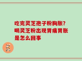 吃完灵芝孢子粉胸胀？喝灵芝粉出现胃痛胃胀是怎么回事