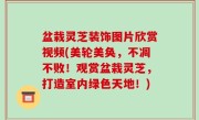 盆栽灵芝装饰图片欣赏视频(美轮美奂，不凋不败！观赏盆栽灵芝，打造室内绿色天地！)