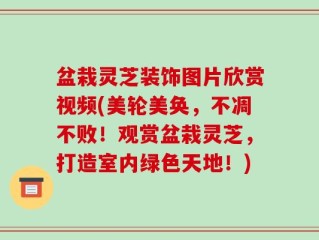 盆栽灵芝装饰图片欣赏视频(美轮美奂，不凋不败！观赏盆栽灵芝，打造室内绿色天地！)