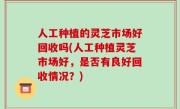 人工种植的灵芝市场好回收吗(人工种植灵芝市场好，是否有良好回收情况？)