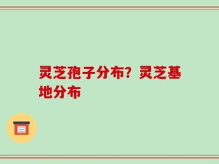灵芝孢子分布？灵芝基地分布