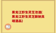 黑龙江野生灵芝泡酒(黑龙江野生灵芝酿制高端酒品)