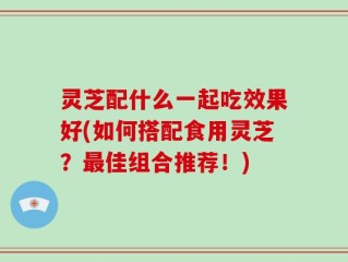 灵芝配什么一起吃效果好(如何搭配食用灵芝？最佳组合推荐！)