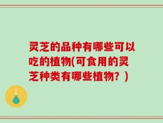 灵芝的品种有哪些可以吃的植物(可食用的灵芝种类有哪些植物？)