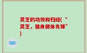 灵芝的功效和归经(“灵芝，强身健体先锋”)