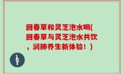 回春草和灵芝泡水喝(回春草与灵芝泡水共饮，润肺养生新体验！)