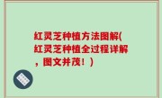 红灵芝种植方法图解(红灵芝种植全过程详解，图文并茂！)