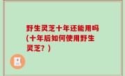 野生灵芝十年还能用吗(十年后如何使用野生灵芝？)