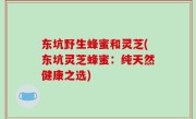 东坑野生蜂蜜和灵芝(东坑灵芝蜂蜜：纯天然健康之选)