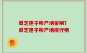 灵芝孢子粉产地鉴别？灵芝孢子粉产地排行榜