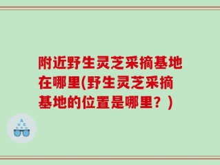 附近野生灵芝采摘基地在哪里(野生灵芝采摘基地的位置是哪里？)