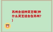 苏州合适种灵芝哪(种什么灵芝适合在苏州？)